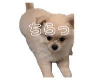 797447983