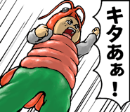 797456981