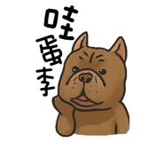 797467441