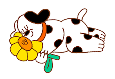 ลายที่ 13