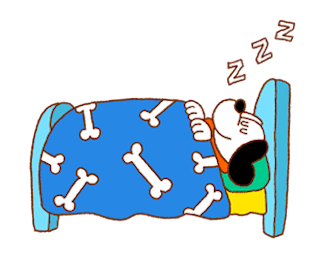 ลายที่ 21