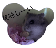 797499956