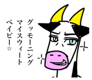 797500025