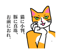 797500027