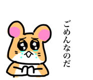 797500041