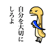 797500048
