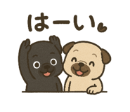 797500780