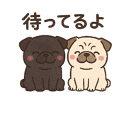 797500790