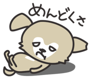 797525204