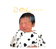 797526394