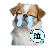 797528010