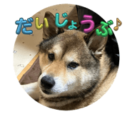 797530404
