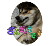 797530409