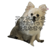 797531444