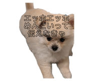 797531448