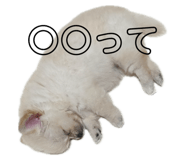 797531456