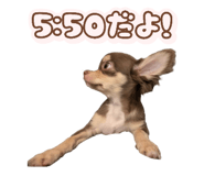 797556931