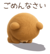 797558118