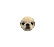 797560757