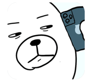 797576534