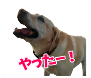 797578149