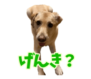 797578160