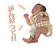 797581336