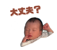 797581341