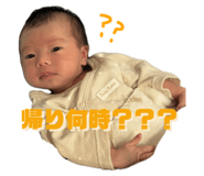 797581342