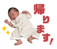 797581344