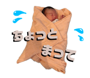 797581346
