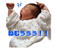 797581355