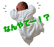 797581356