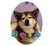 797582412