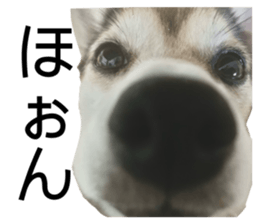 797587535