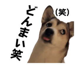 797587544