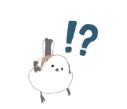 797595071