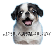 797601055