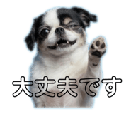 797601061