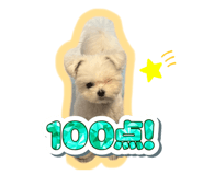797603625