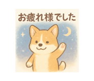 797609534