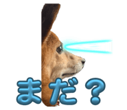 797626508