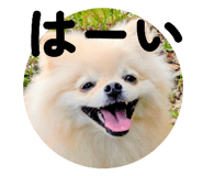 797626528
