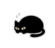797634345