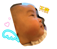 797641662