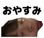 797658035