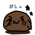 797663243
