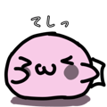 797663244