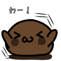 797663247