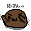 797663248